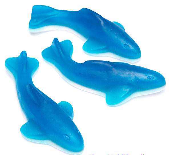 Killer Gummy Shark 8oz